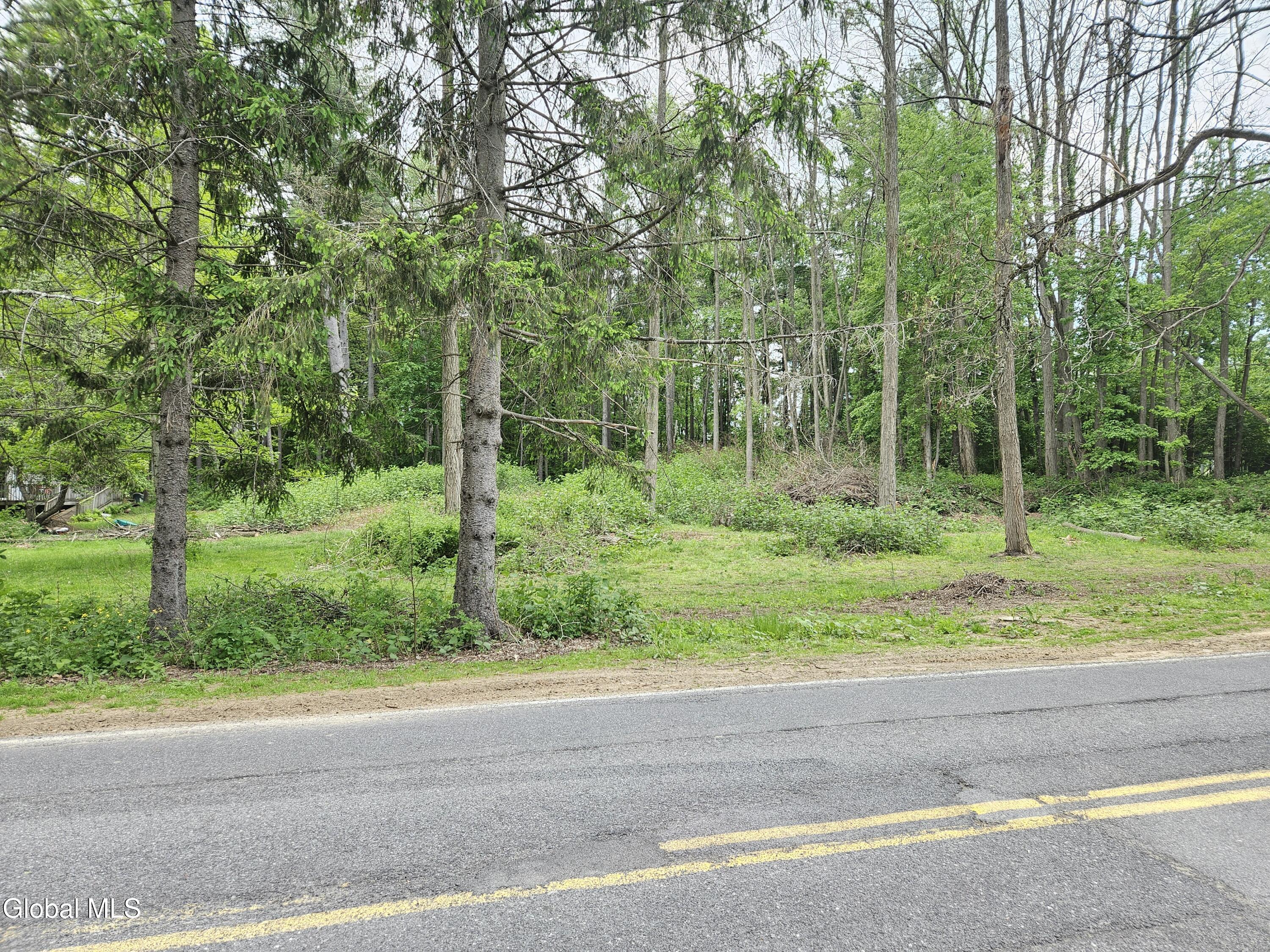 85 Willow Street Guilderland NY 12084