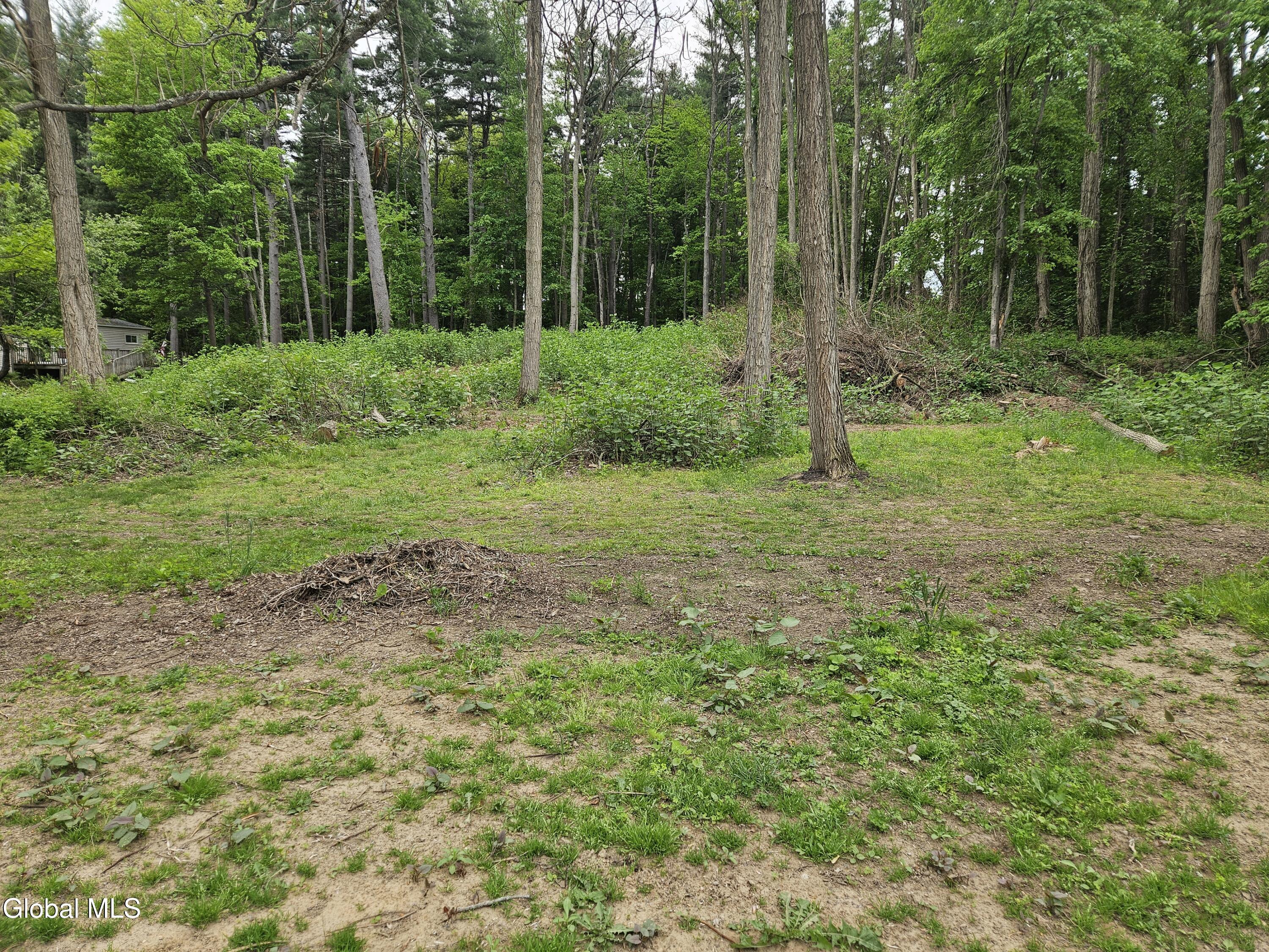 85 Willow Street Guilderland NY 12084