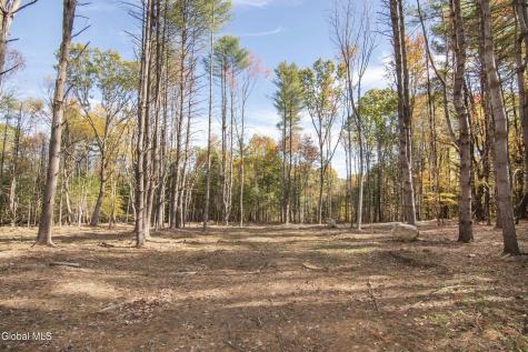 113A Sand Hill Road Greenfield Center NY 12833