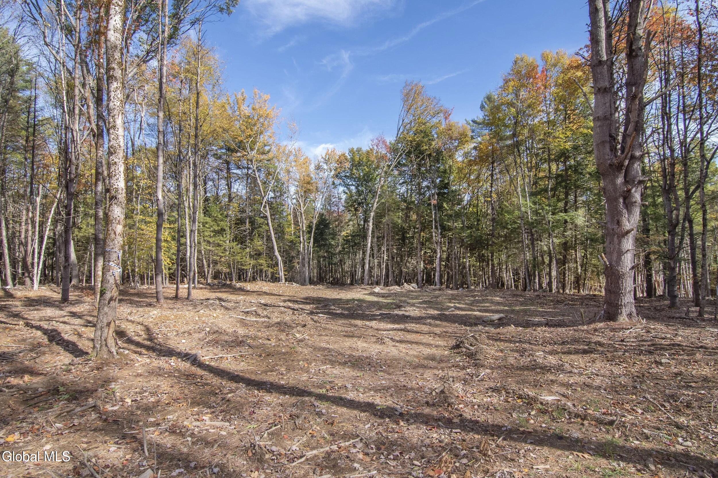 113A Sand Hill Road Greenfield Center NY 12833