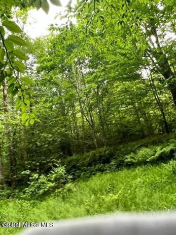 L 67.1 Mcgregor Road Gloversville NY 12078