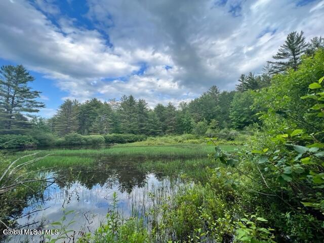 L 67.1 Mcgregor Road Gloversville NY 12078