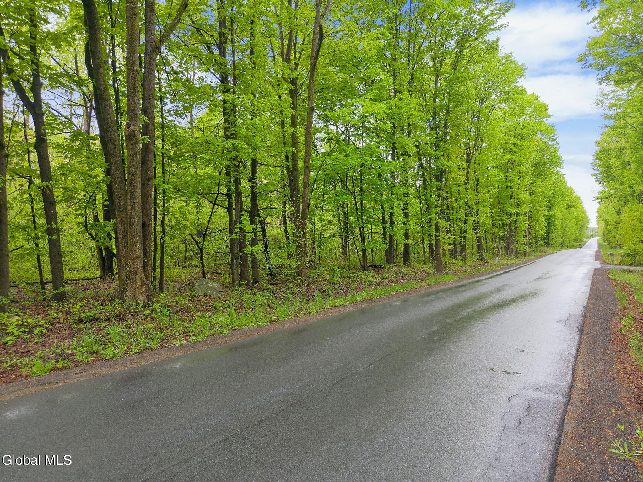 L4.112 Rocky Ridge Road Amsterdam NY 12010