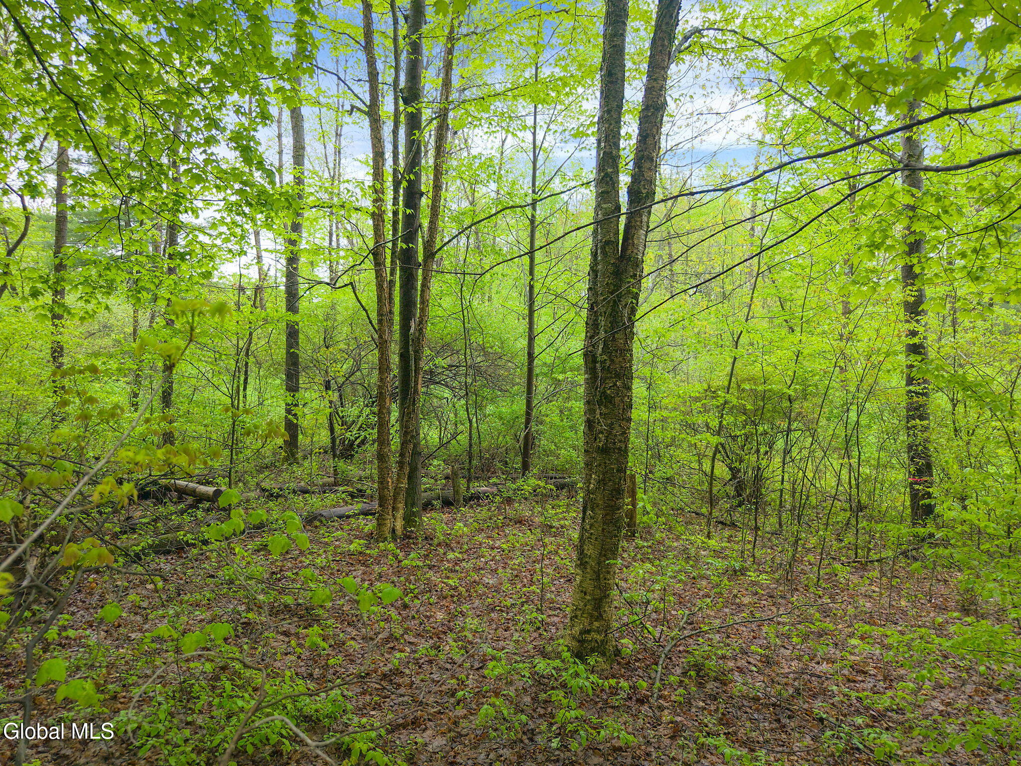 L4.112 Rocky Ridge Road Amsterdam NY 12010