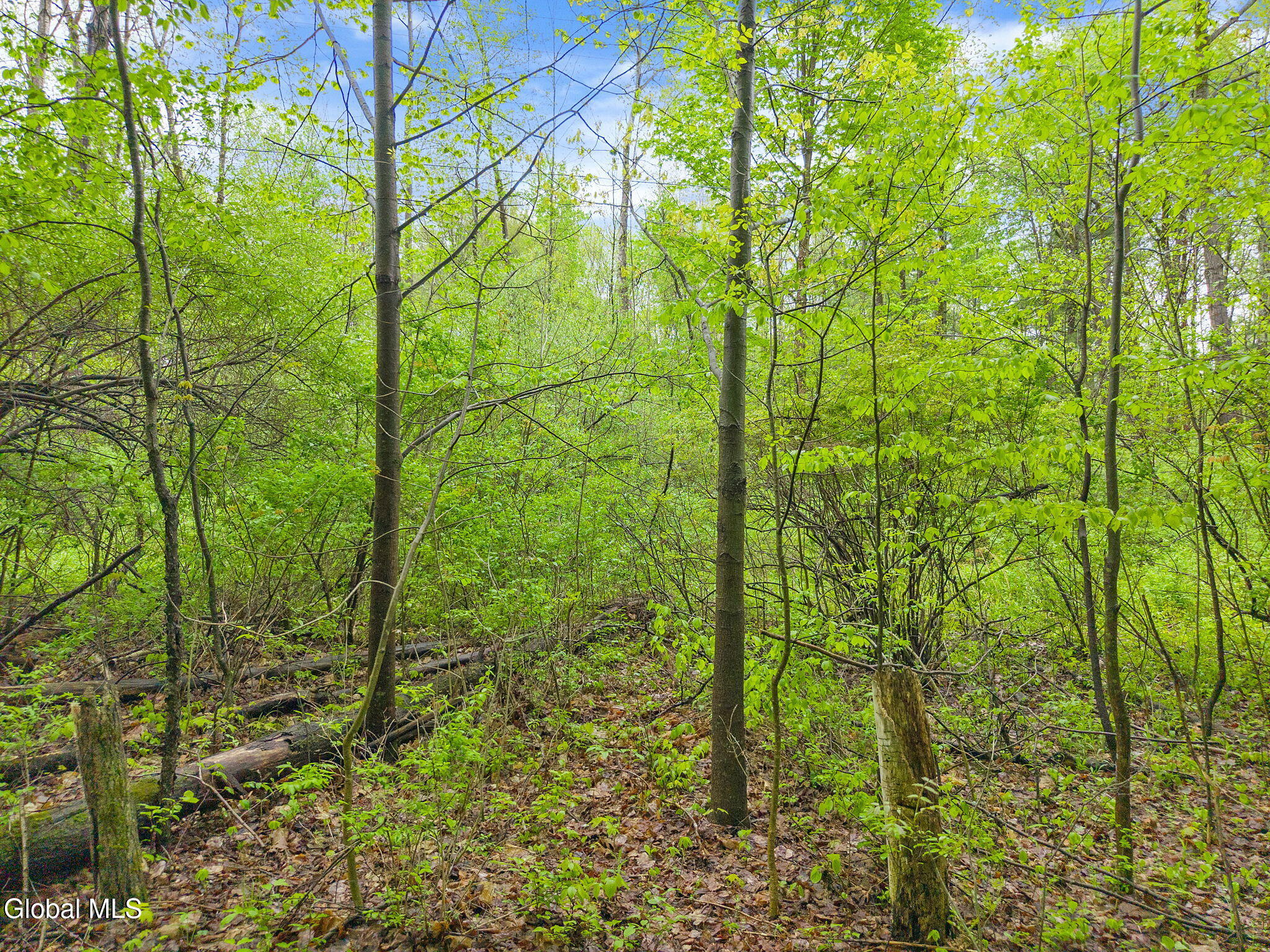 L4.112 Rocky Ridge Road Amsterdam NY 12010