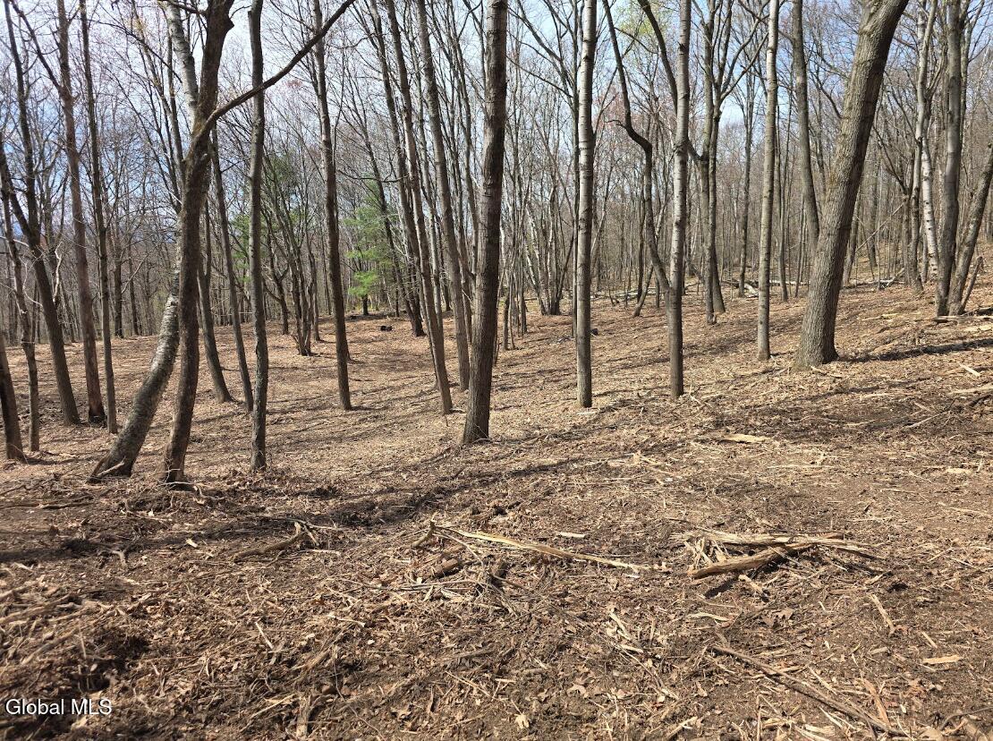 L135.2 Rockledge Road Hillsdale NY 12529