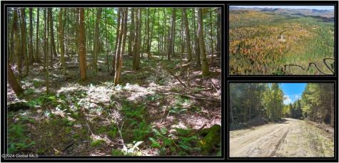 72 Carriage Knoll Road Chestertown NY 12817