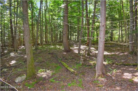 72 Carriage Knoll Road Chestertown NY 12817