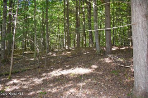 72 Carriage Knoll Road Chestertown NY 12817
