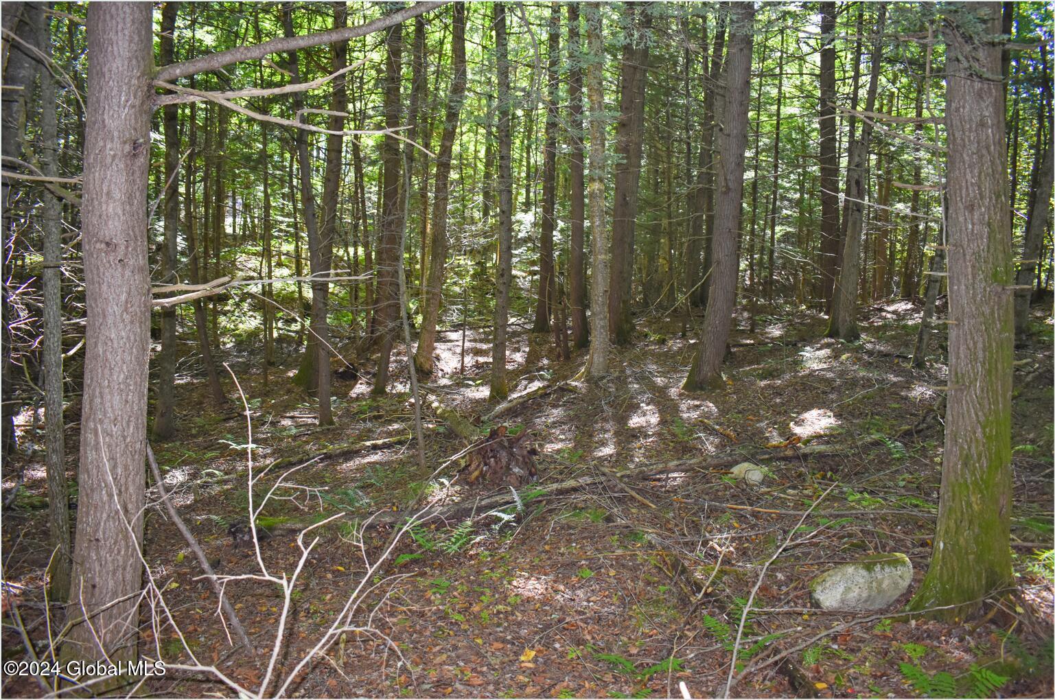 72 Carriage Knoll Road Chestertown NY 12817