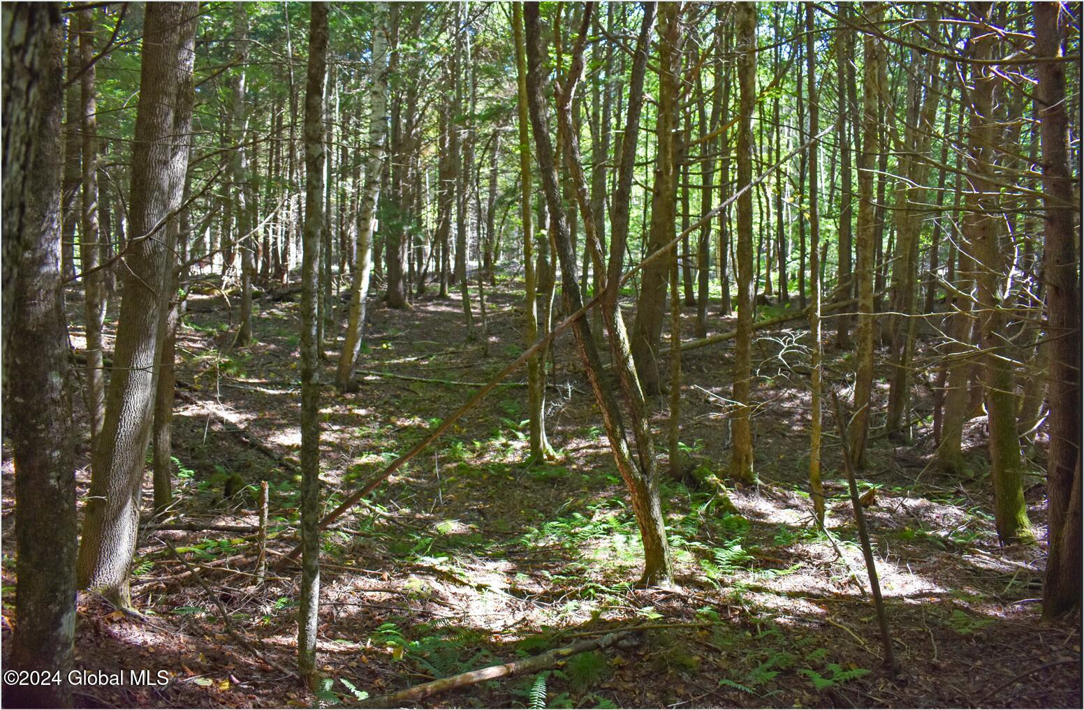 72 Carriage Knoll Road Chestertown NY 12817