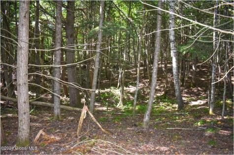 72 Carriage Knoll Road Chestertown NY 12817