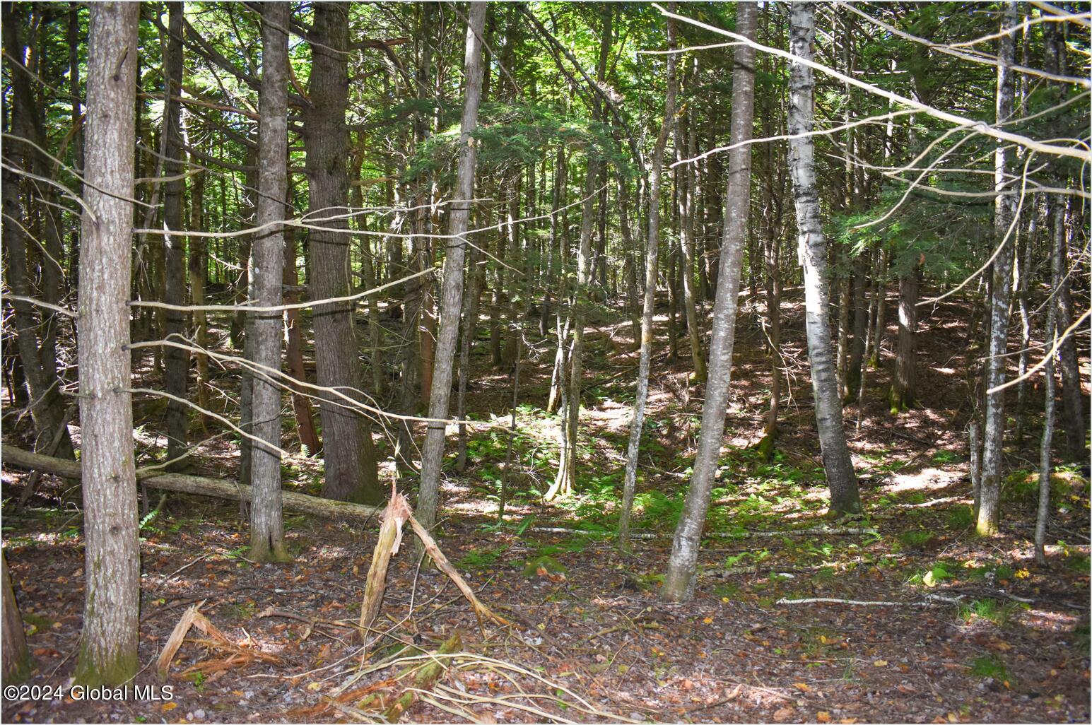 72 Carriage Knoll Road Chestertown NY 12817