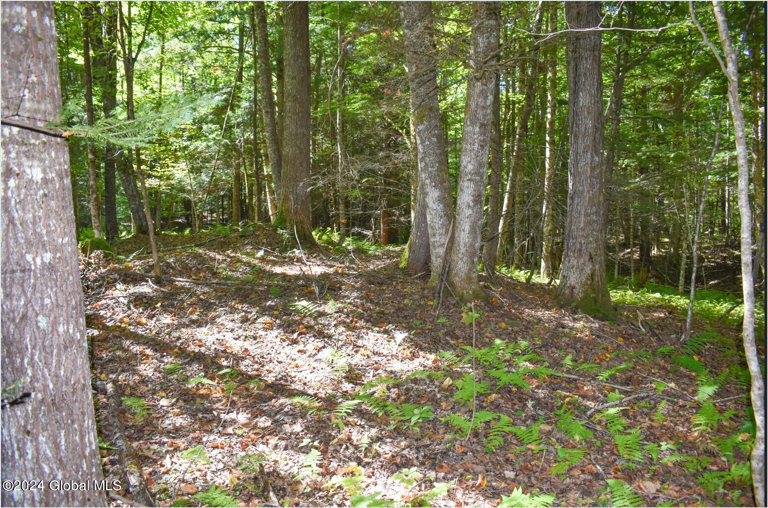 72 Carriage Knoll Road Chestertown NY 12817