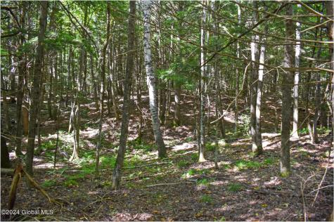 72 Carriage Knoll Road Chestertown NY 12817