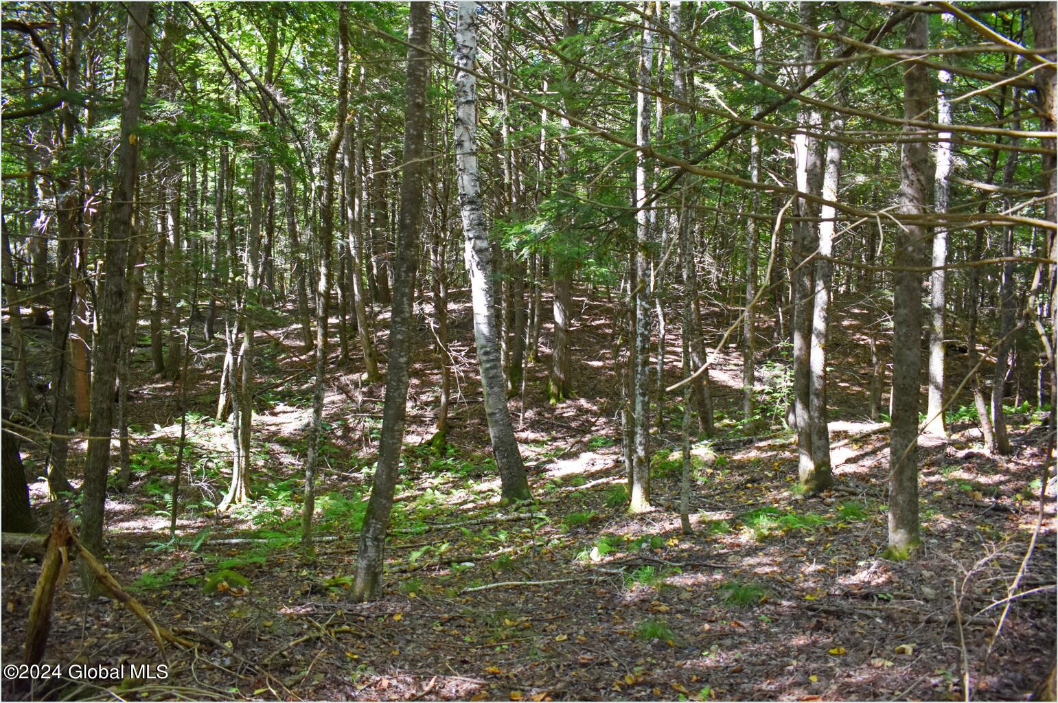 72 Carriage Knoll Road Chestertown NY 12817