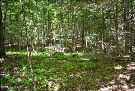 72 Carriage Knoll Road Chestertown NY 12817