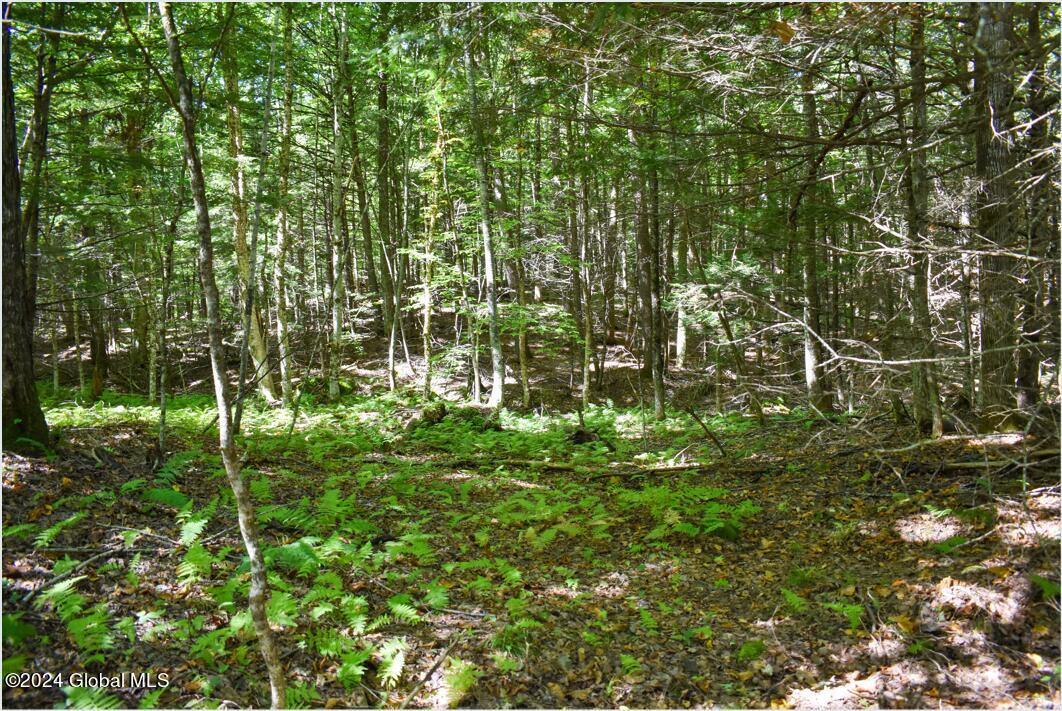 72 Carriage Knoll Road Chestertown NY 12817