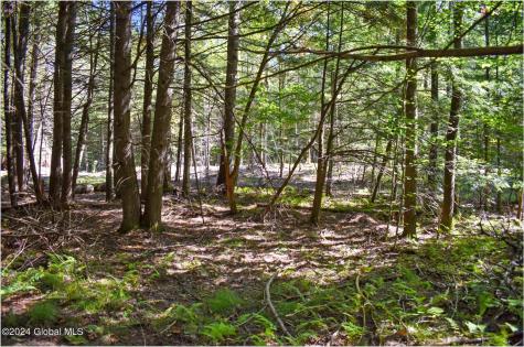 72 Carriage Knoll Road Chestertown NY 12817
