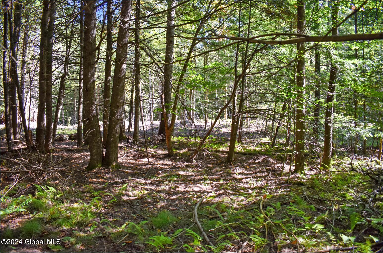 72 Carriage Knoll Road Chestertown NY 12817