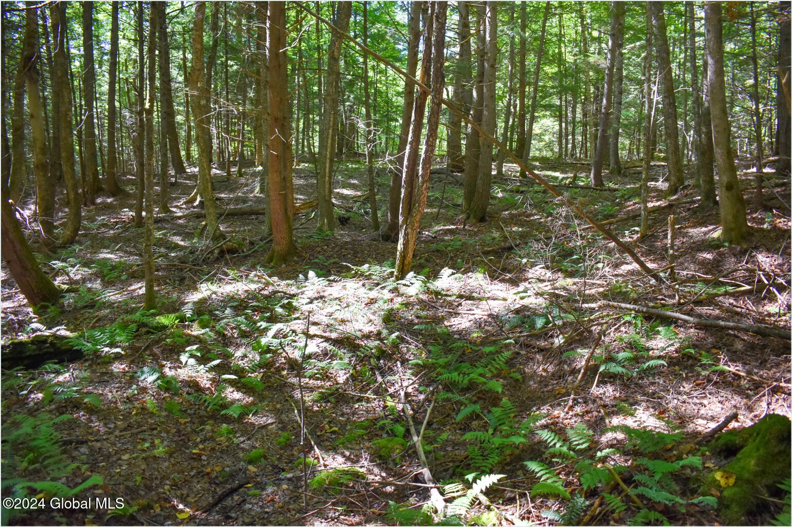 72 Carriage Knoll Road Chestertown NY 12817
