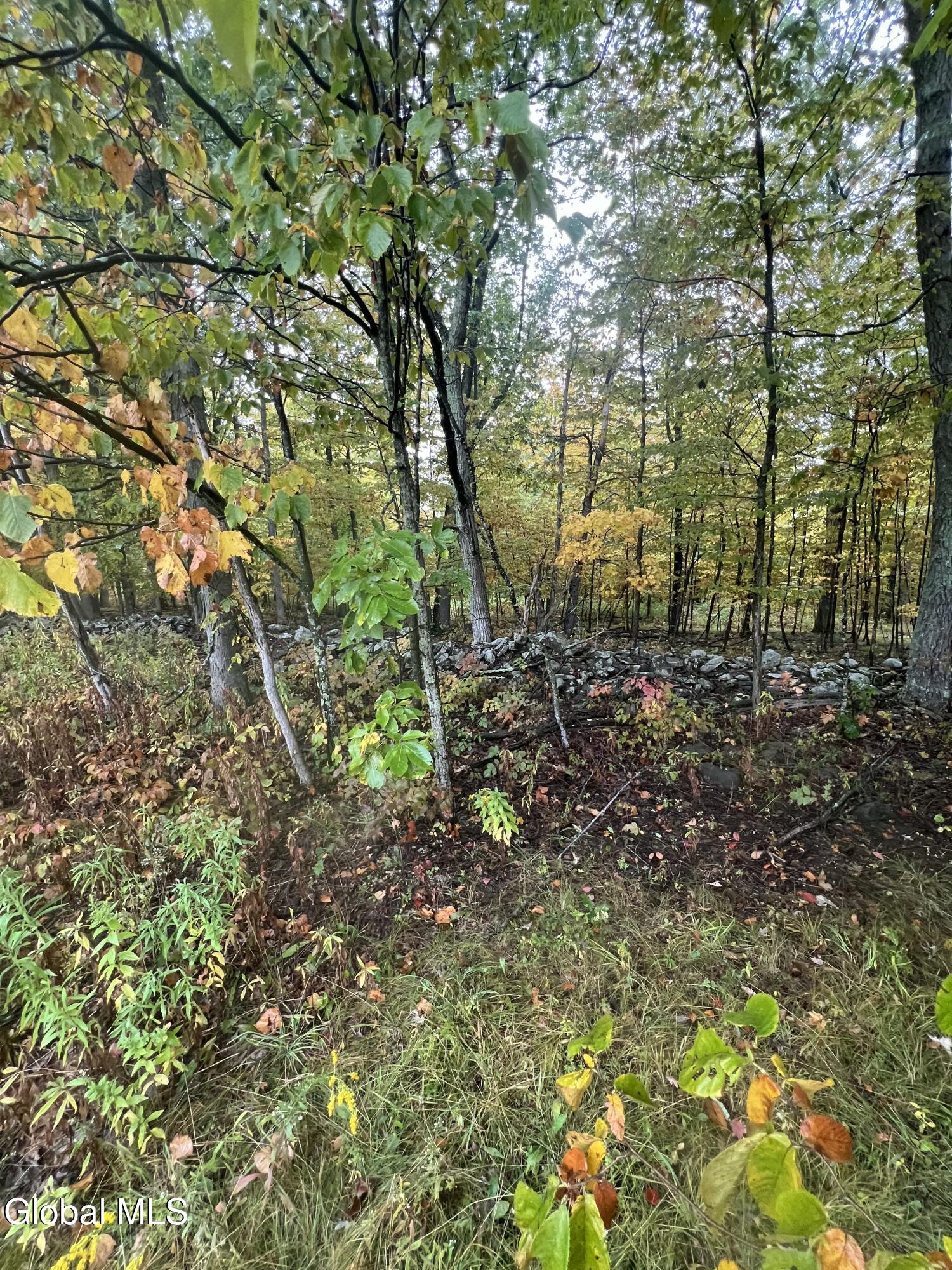 L23 Sunny Hill Acrs Greenville NY 12083