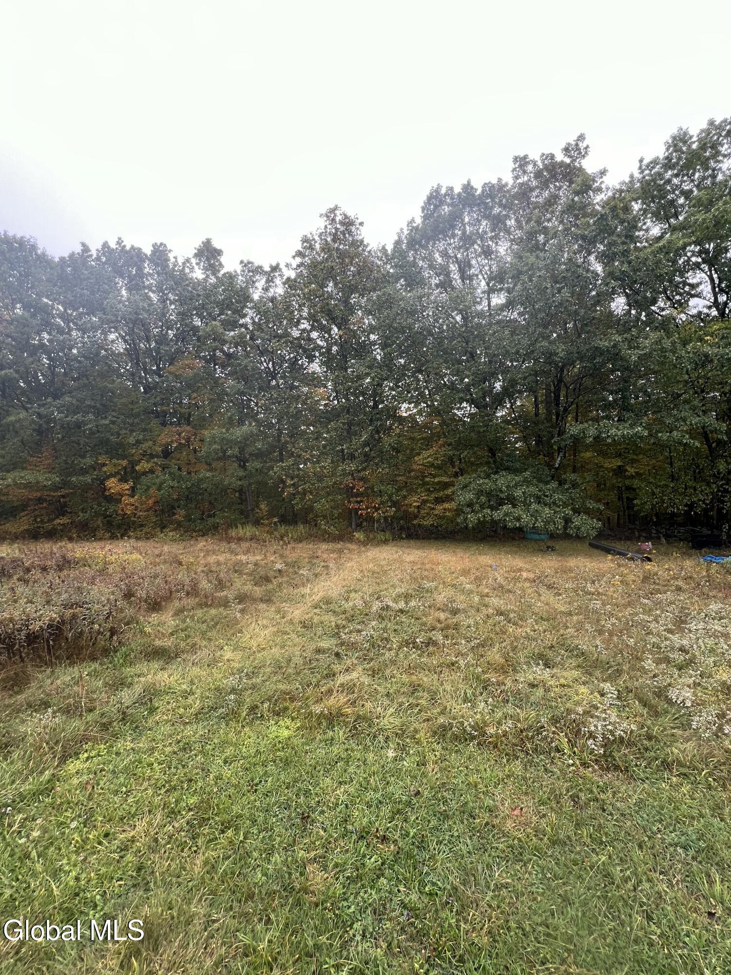 L23 Sunny Hill Acrs Greenville NY 12083