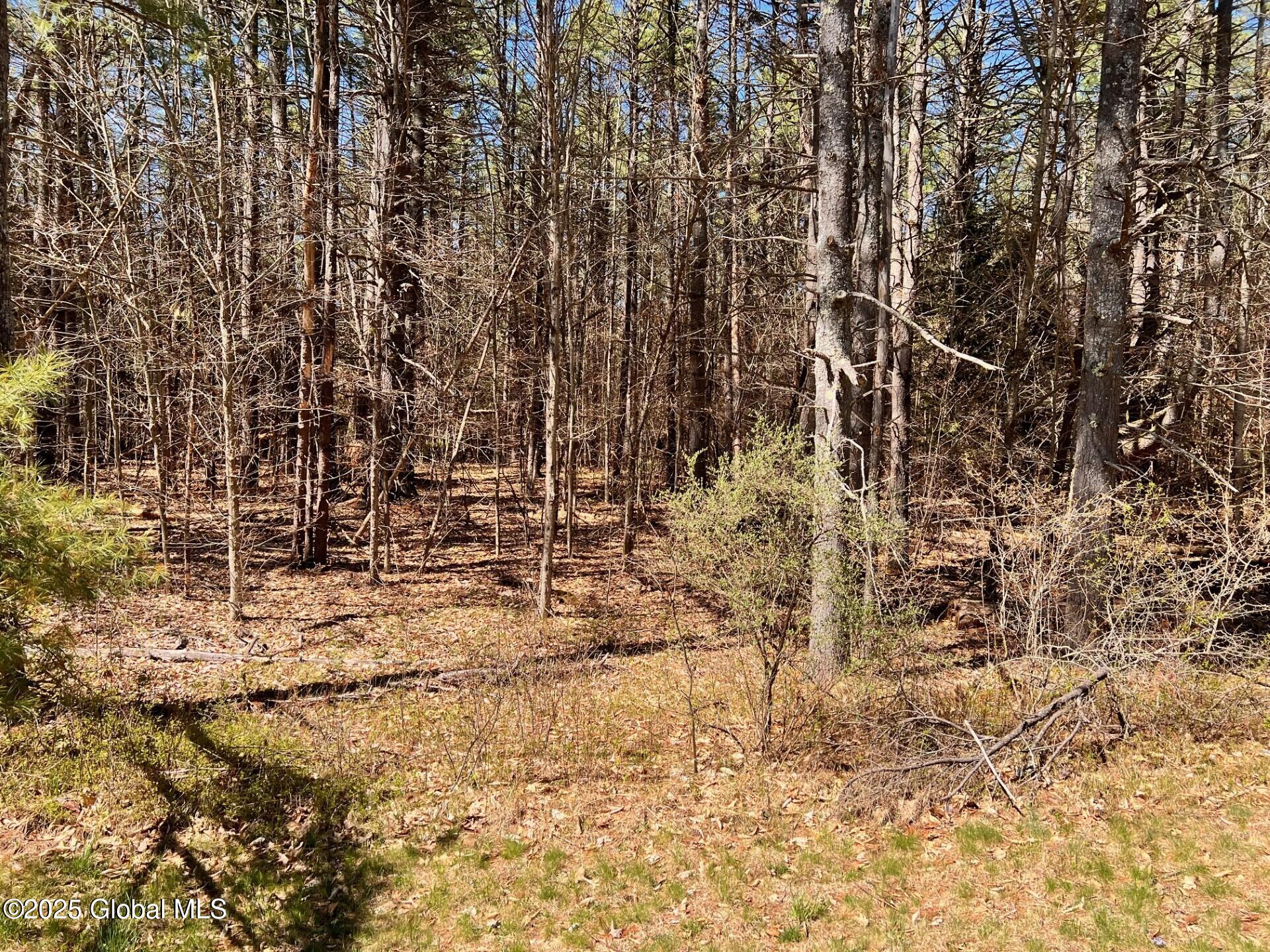 980 Lake Avenue Lake Luzerne NY 12846