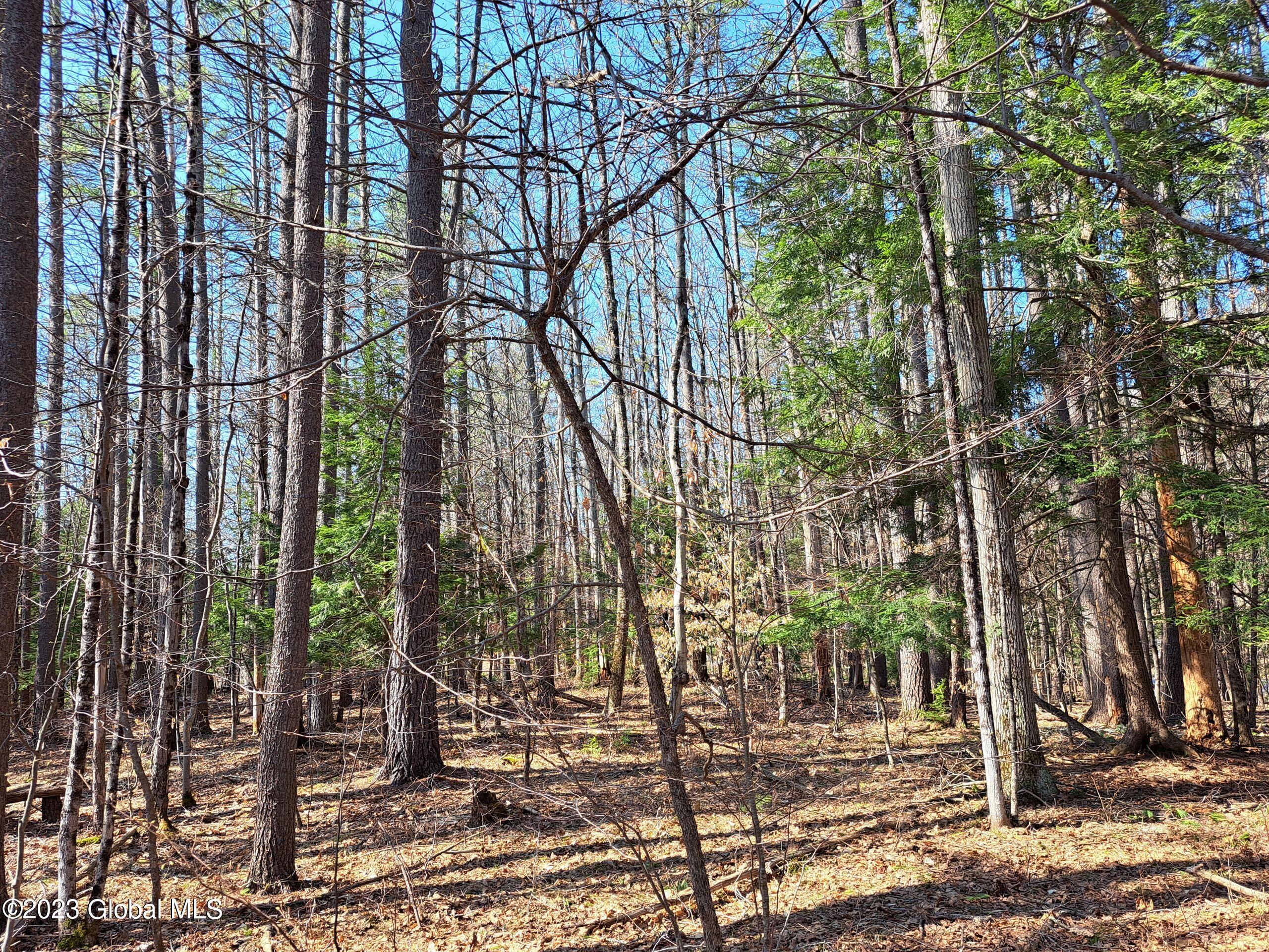 L57 Ny-28 Warrensburg NY 12817