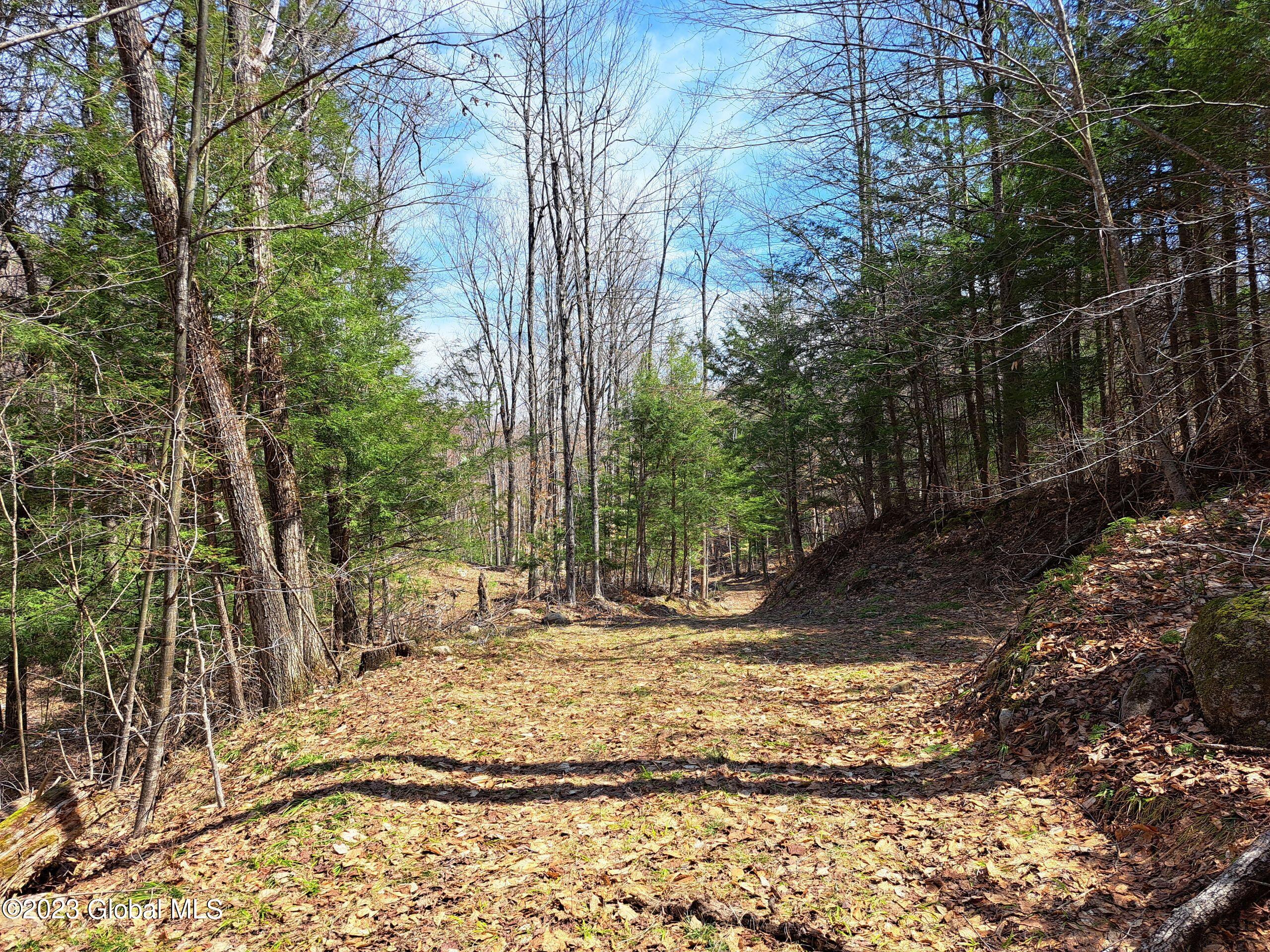 L57 Ny-28 Warrensburg NY 12817