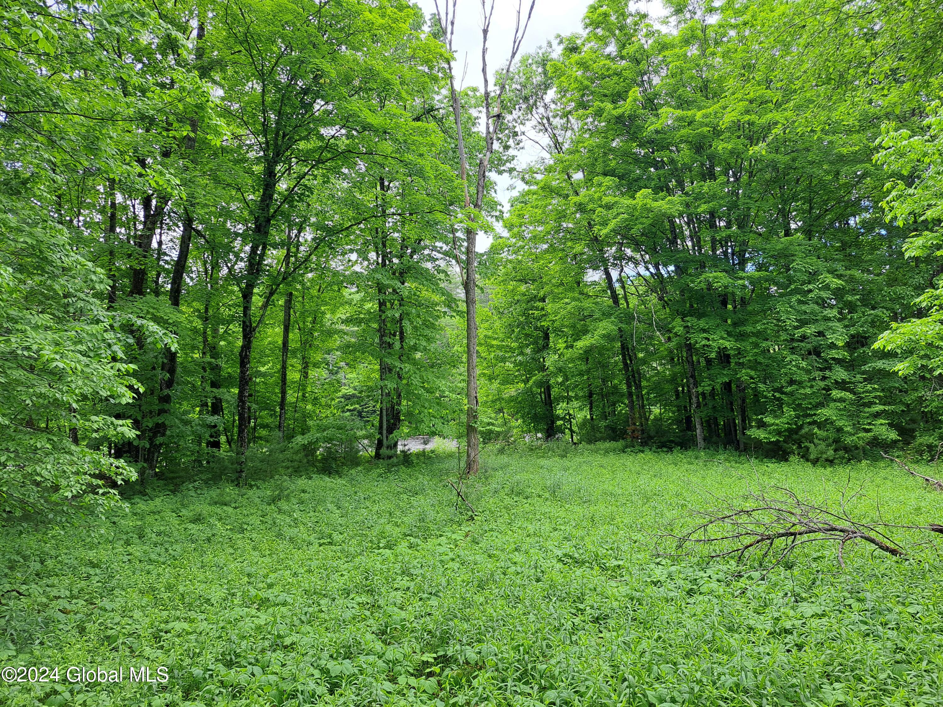 L57 Ny-28 Warrensburg NY 12817
