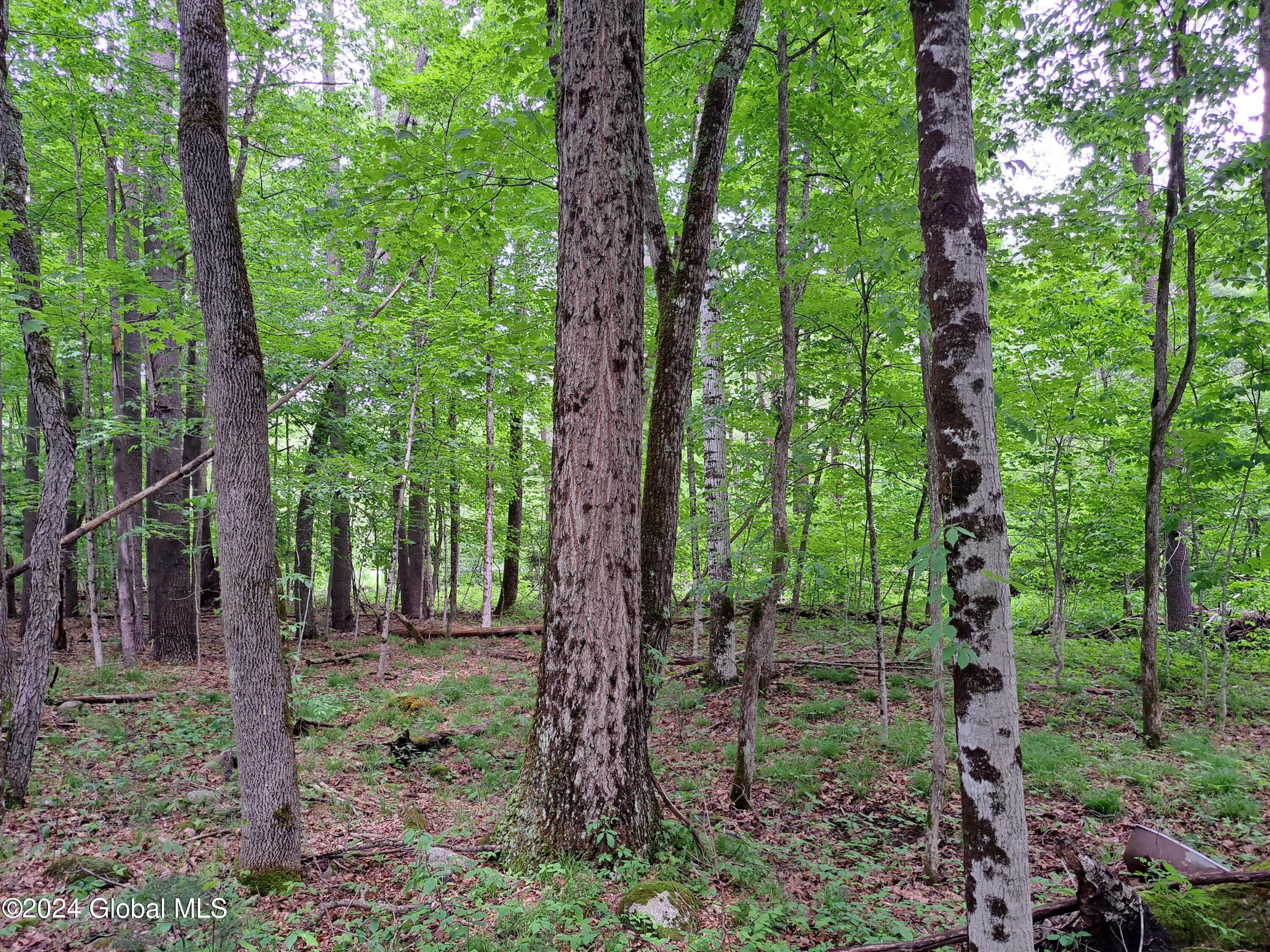 L57 Ny-28 Warrensburg NY 12817