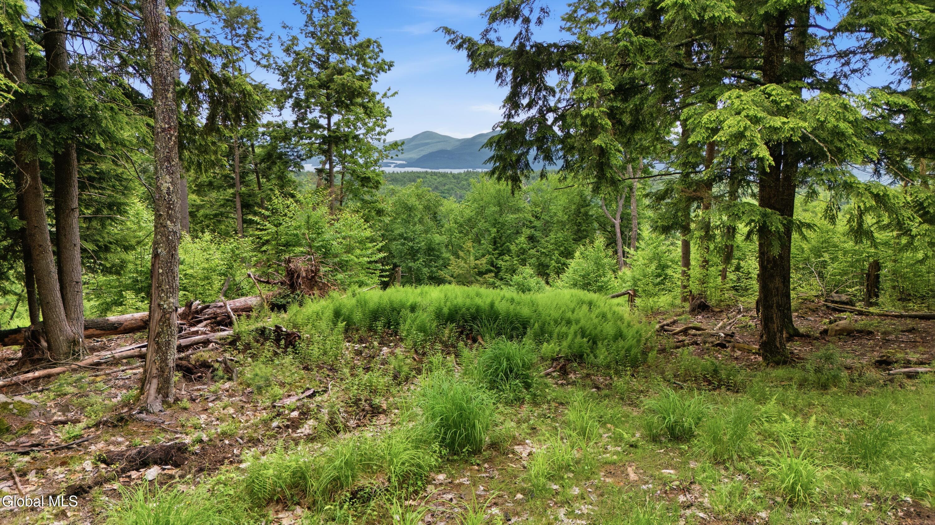 422 Dickinson Hill Road Bolton NY 12814