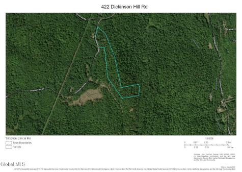 422 Dickinson Hill Road Bolton NY 12814
