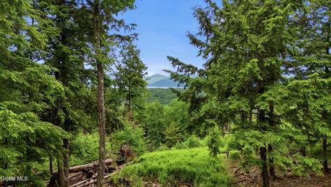 422 Dickinson Hill Road Bolton NY 12814