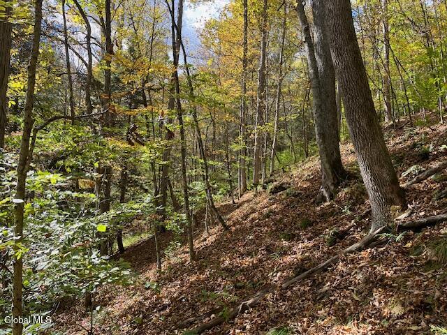 140 Stonewall Path Gilboa NY 12076