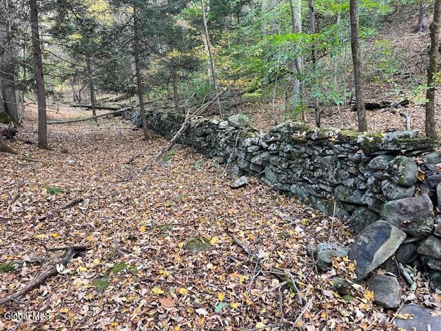 140 Stonewall Path Gilboa NY 12076