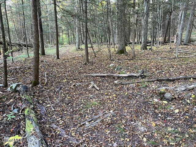 140 Stonewall Path Gilboa NY 12076