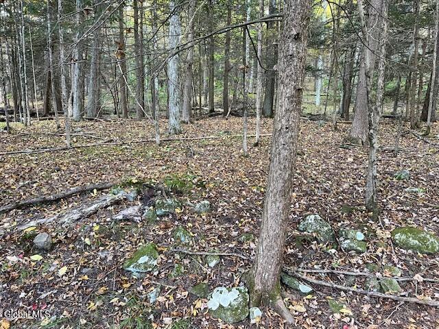140 Stonewall Path Gilboa NY 12076
