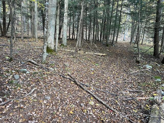 140 Stonewall Path Gilboa NY 12076