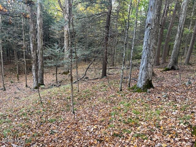140 Stonewall Path Gilboa NY 12076