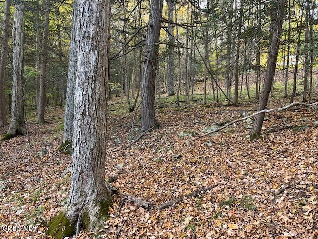 140 Stonewall Path Gilboa NY 12076