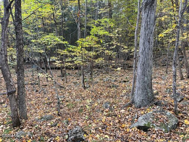 140 Stonewall Path Gilboa NY 12076