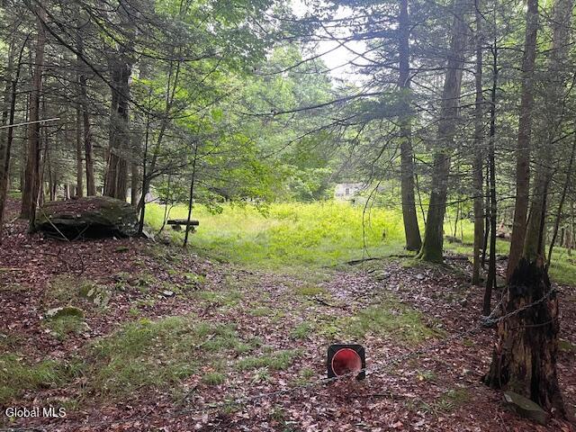 140 Stonewall Path Gilboa NY 12076