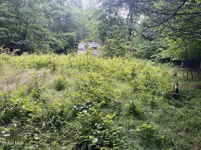 140 Stonewall Path Gilboa NY 12076