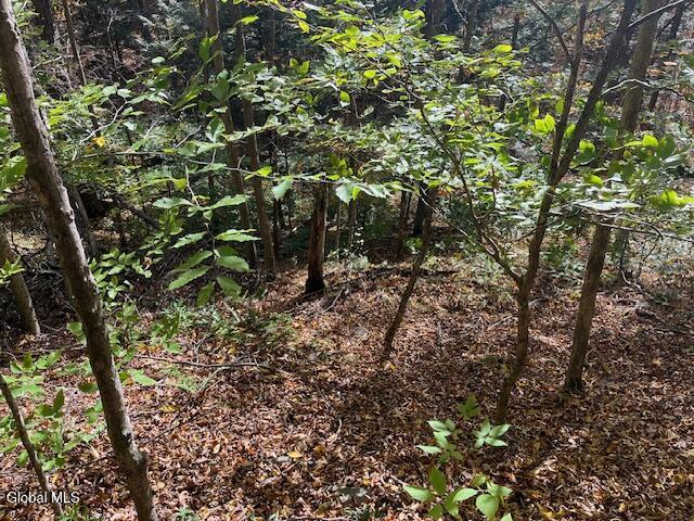 140 Stonewall Path Gilboa NY 12076
