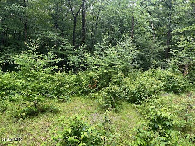 140 Stonewall Path Gilboa NY 12076