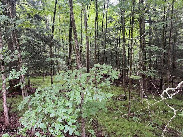 140 Stonewall Path Gilboa NY 12076