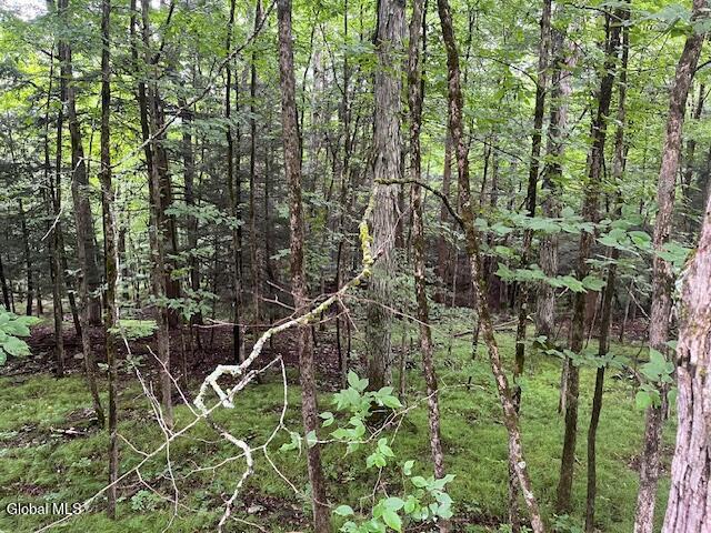 140 Stonewall Path Gilboa NY 12076