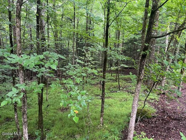 140 Stonewall Path Gilboa NY 12076